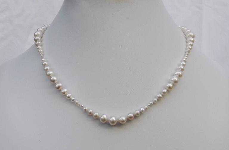 Graduated White Pearl Necklace with Yellow Gold Clasp