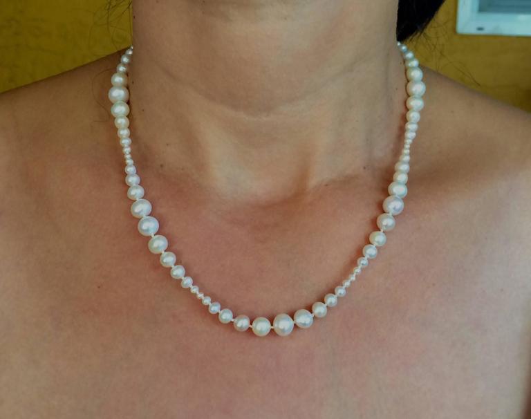 Graduated White Pearl Necklace with Yellow Gold Clasp